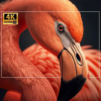 SunView™ HD Projektör